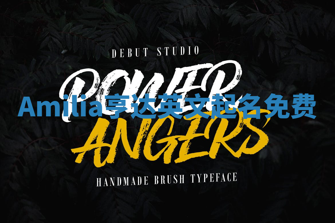 Amilia亨达英文起名免费 Amilia亨达英文起名免费