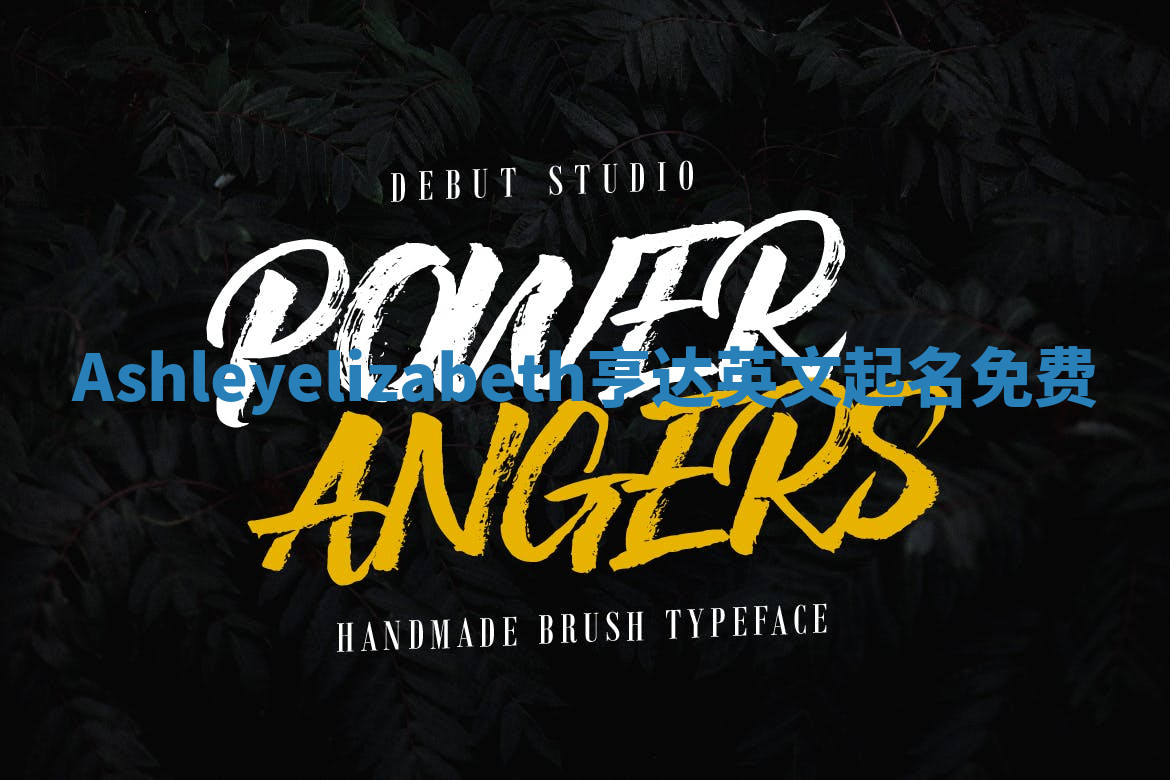 Ashleyelizabeth亨达英文起名免费