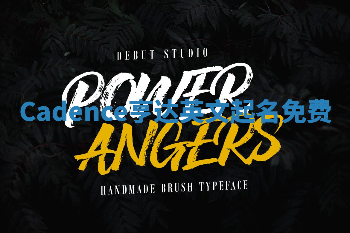 Cadence亨达英文起名免费