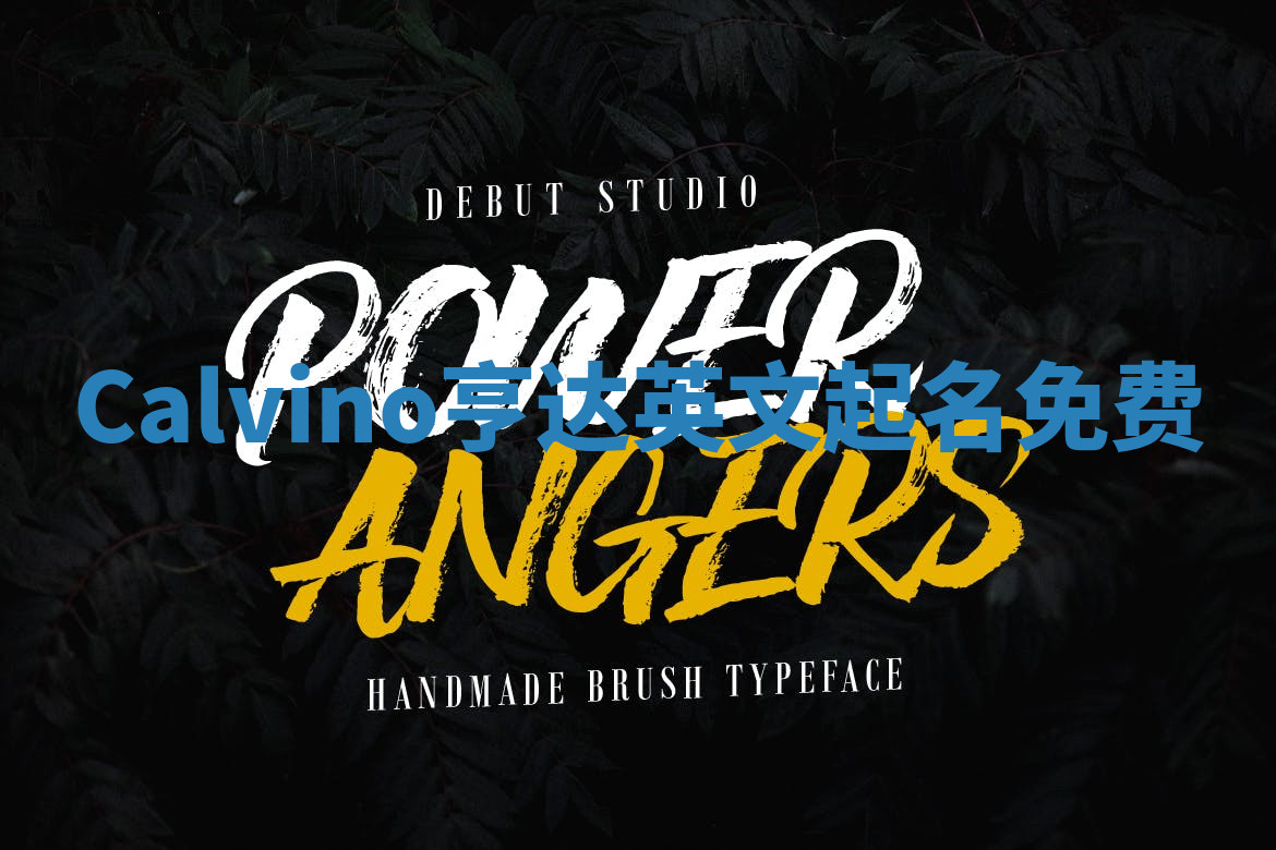 Calvino亨达英文起名免费