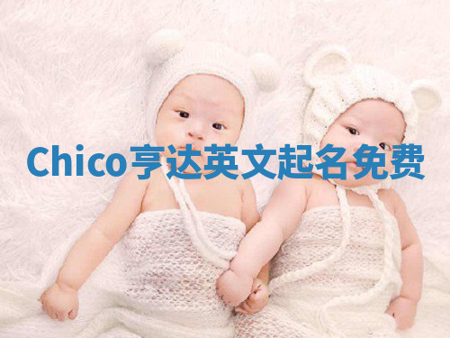 Chico亨达英文起名免费 Chico亨达英文起名免费