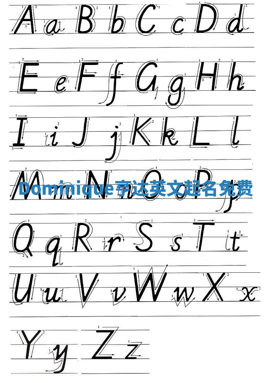 Dominique亨达英文起名免费 Dominique亨达英文起名免费