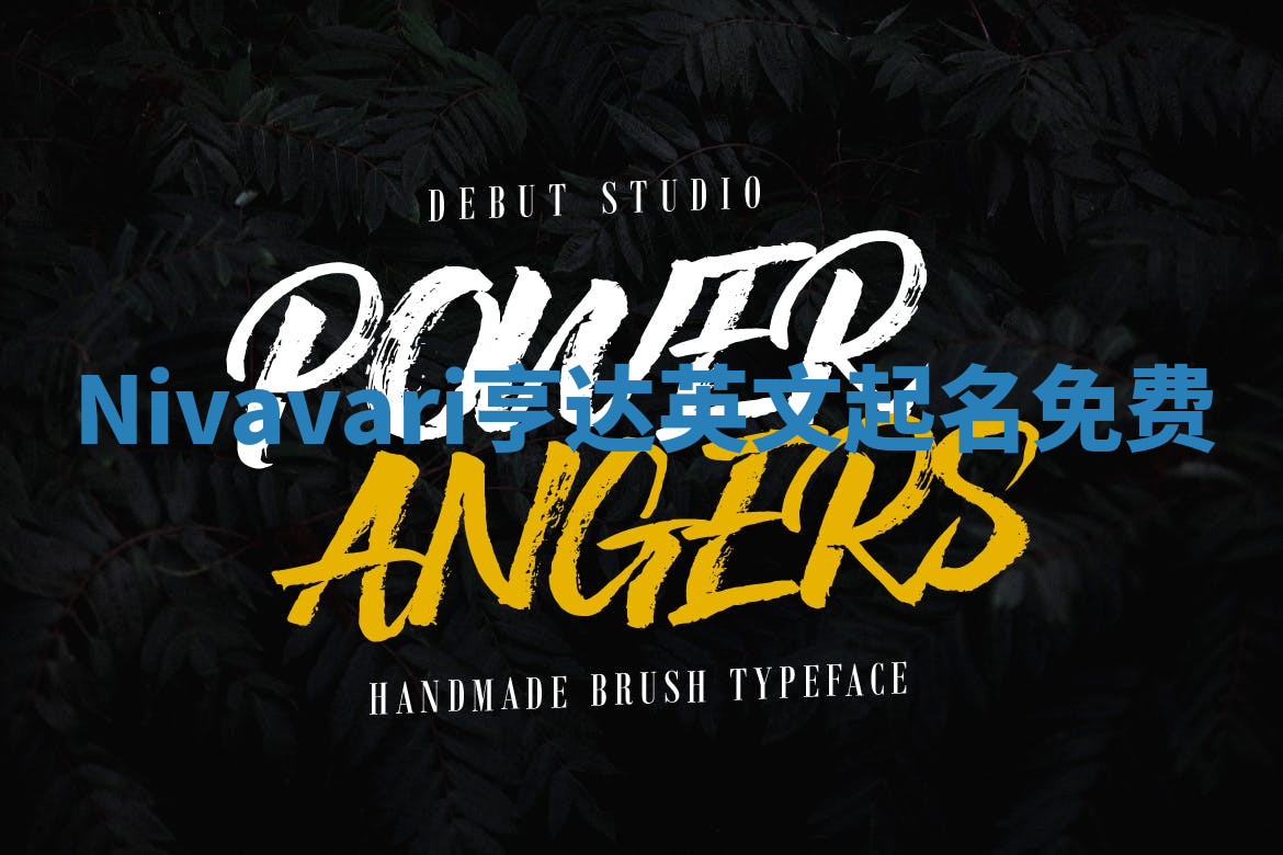 Nivavari亨达英文起名免费 Nivavari亨达英文起名免费