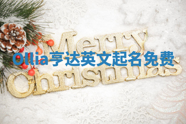 Ollia亨达英文起名免费 Ollia亨达英文起名免费