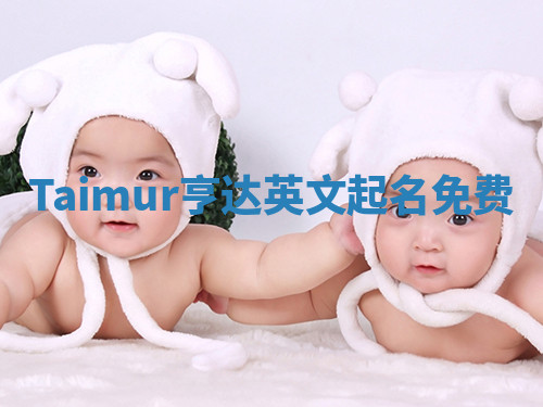 Taimur亨达英文起名免费