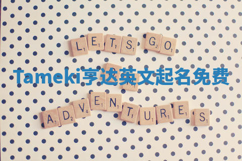 Tameki亨达英文起名免费