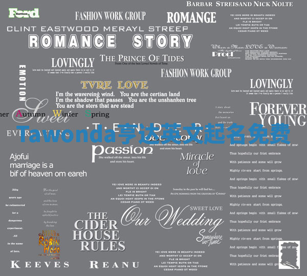 Tawonda亨达英文起名免费