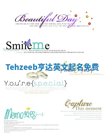Tehzeeb亨达英文起名免费