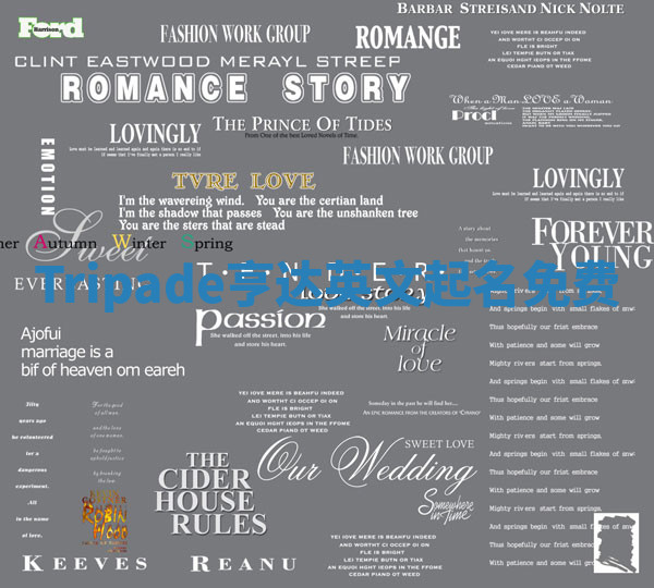 Tripade亨达英文起名免费