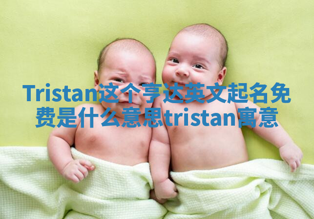 Tristan这个亨达英文起名免费是什么意思 tristan寓意 Tristan这个亨达英文起名免费是什么意思 tristan寓意