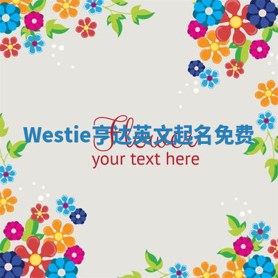 Westie亨达英文起名免费 Westie亨达英文起名免费