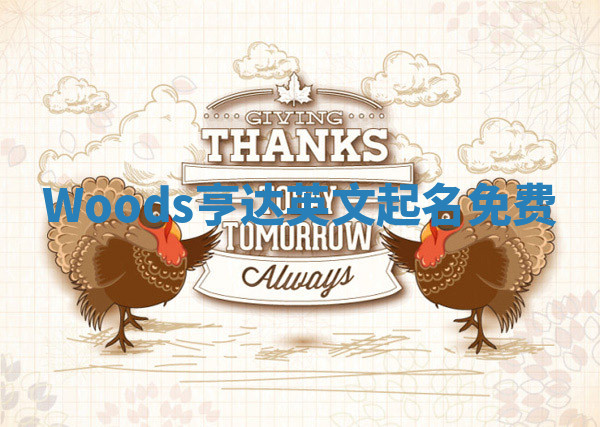 Woods亨达英文起名免费